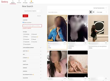 Captura de tela do site Seeking